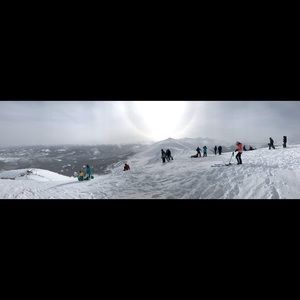 Meet your Posher, Casey